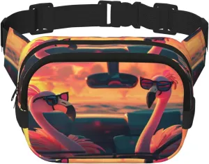 Funny Birds Funny Pack Waist Pack for Women Men, Double Layer Pack for Workout Running Travelling