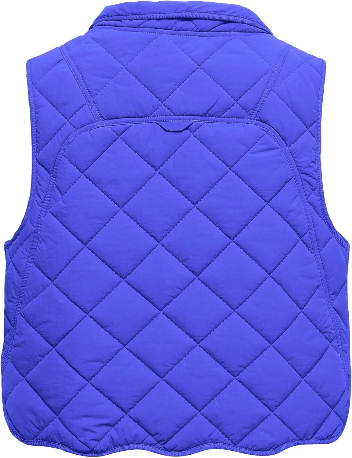 Gacaky Women's Puffer Vest Sleeveless Button Down Outerwear Warm Quilted Lightweight Down Winter Jackets Coats