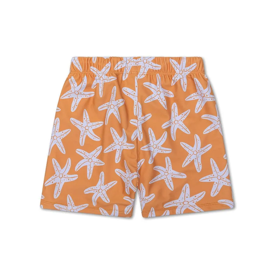 Seastar | Brown UV Swim Shorts Boys